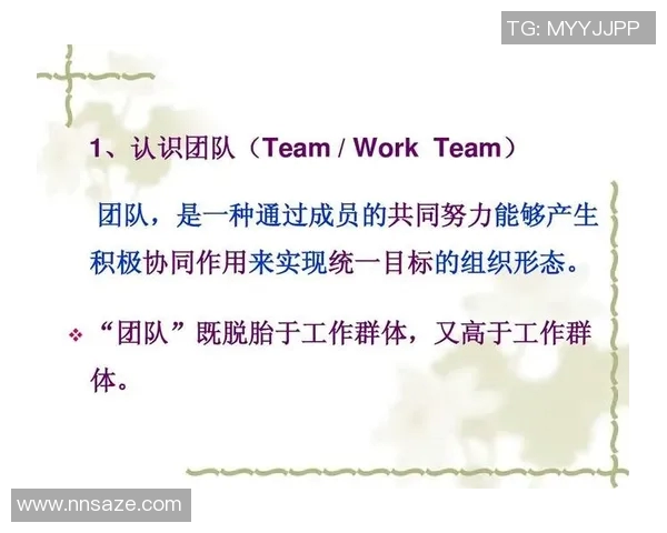 赛后分析：西安篮球队与深圳篮球队的团队协作之道与启示