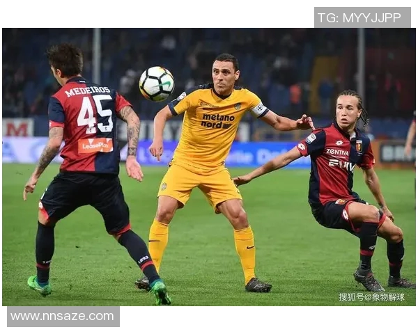 雷恩与摩纳哥对决分析及比赛前景展望 雷恩与摩纳哥对决分析及比赛前景展望