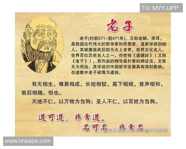 苏伟：从平凡到卓越的奋斗历程与人生哲学探讨