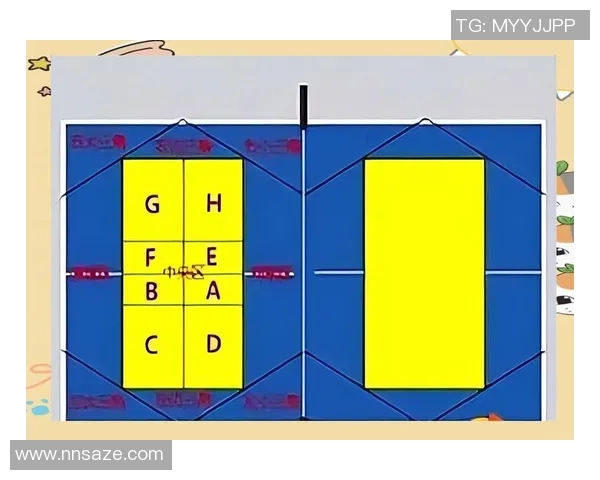 赵磊独家分享乒乓球技巧与心得助你提升球技的秘诀与经验